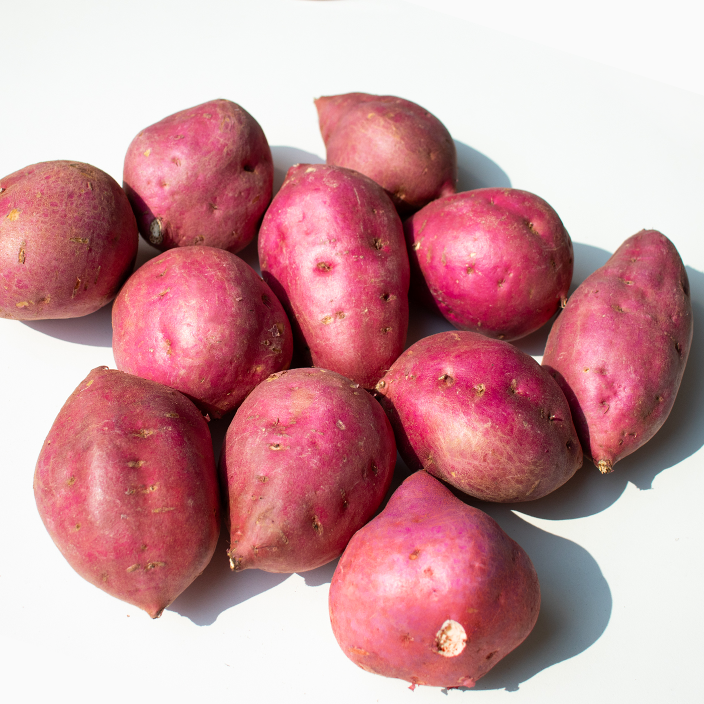 밤고구마 오리지널 여주 진짜 밤맛나는 타박한 퍽퍽한 함구마 2kg 3kg 5kg(햇) 이미지 3