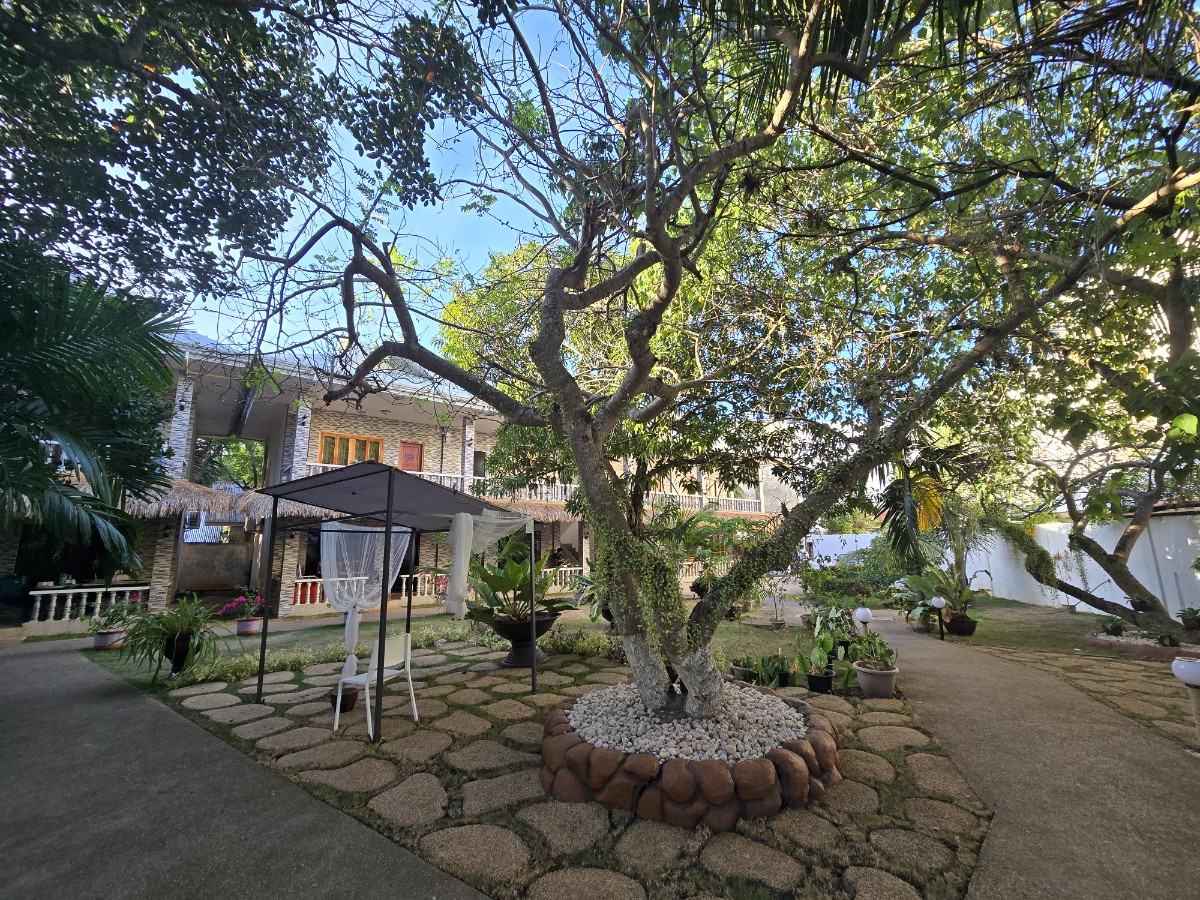 보홀 입국팩 출국팩 번화가 알뜰형 호텔 BS 리조트 공항픽업 드랍