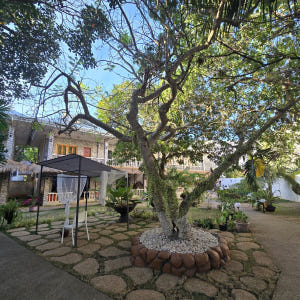 보홀 입국팩 출국팩 번화가 알뜰형 호텔 BS 리조트 공항픽업 드랍 솔직 후기 | 실사용자 리뷰 분석 - 상품 이미지 4