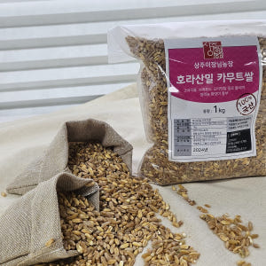 25년 햇 국산 호라산밀 쌀 1kg 저당 당뇨쌀 맛있게 먹은 솔직 후기 - 상품 이미지 4