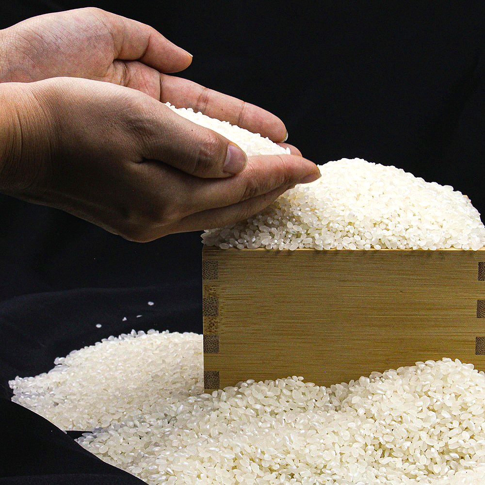 24년 금쌀 김포 고시히카리 쌀 4kg 10kg 20kg 최근도정 3일이내