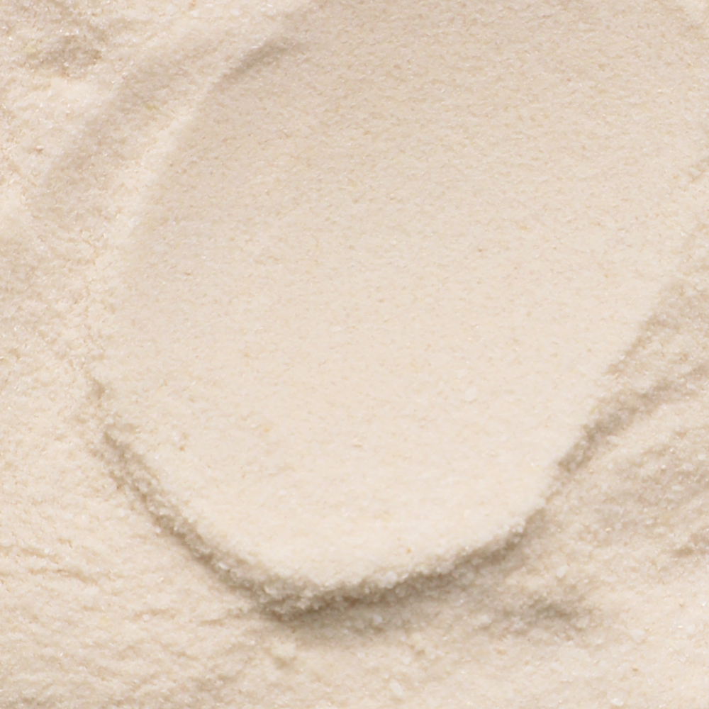 울애기쌩쌩 종합유산균 디어랩스 강아지유산균 프로바이오틱스 장 피부 면역력 30포, 2개