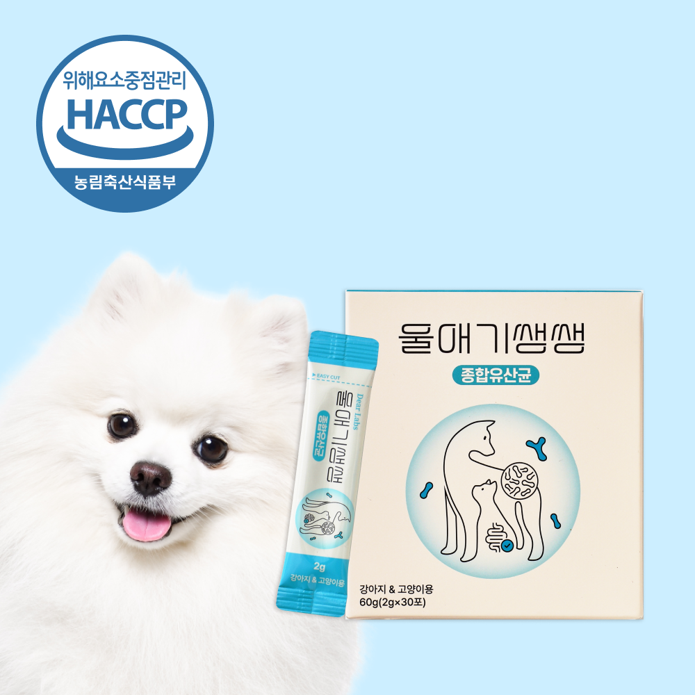 울애기쌩쌩 종합유산균 디어랩스 강아지유산균 프로바이오틱스 장 피부 면역력 30포, 1개