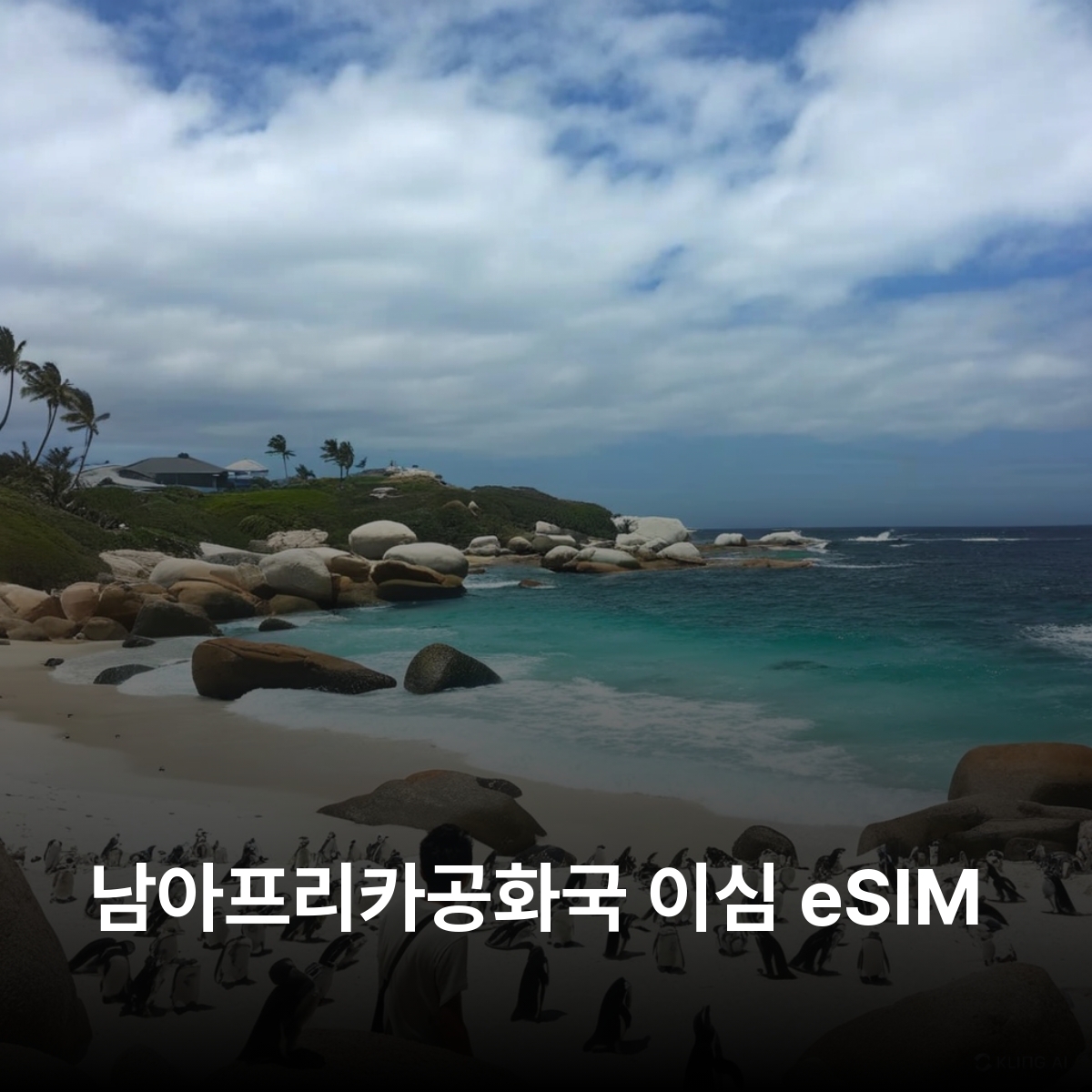 남아프리카공화국 이심 eSIM Vodacom 요하네스버그 케이프타운 더반 프리토리아 포트 엘리자베스 크루거 아도 코끼리 빌헬름 이심통 - 메인 이미지