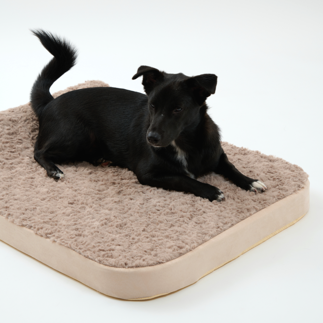 핸독 대형견방석 반려견쿠션 펫쇼파 L 이미지 3