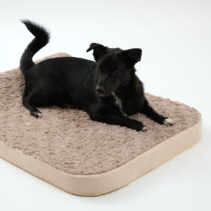 핸독 대형견방석 반려견쿠션 펫쇼파 L 솔직 후기 | 실제 사용자 리뷰 총정리 - 상품 이미지 3