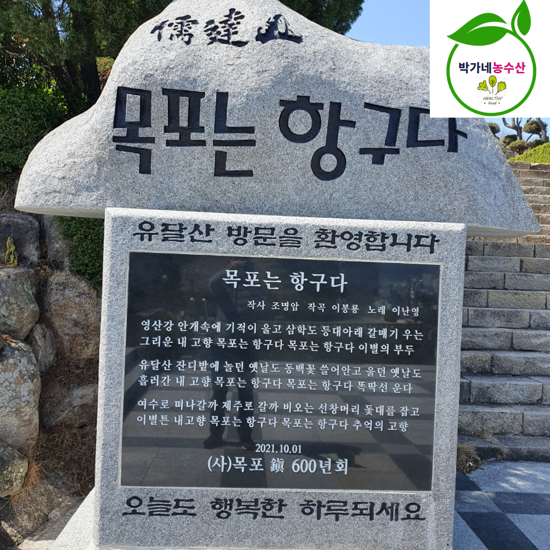 국산홍어 500g 홍어회 무침 목포 흑산도 삼합 - 상세 이미지 3