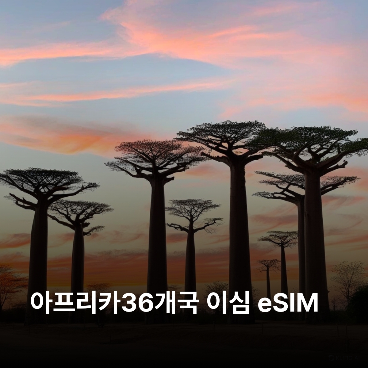 아프리카36개국 이심 eSIM 이집트 모리셔스 세이셸 남아프리카 케냐 탄자니아 보츠와나 르완다 잠비아 가나 세네갈 코트디부아르 마다가스카르 우간다 알제리 카메룬 나이지리아 이심통 - 메인 이미지
