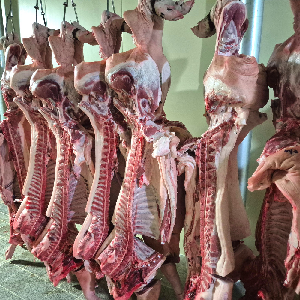 제주흑돼지 돈마호크원육 뼈등심 프렌치렉원육 돈토마호크 도끼삼겹살 바베큐고기 - 상세 이미지 5