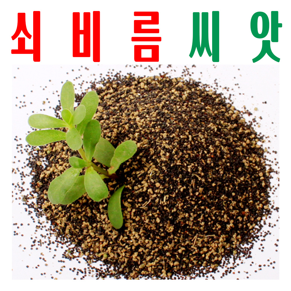 쇠비름씨앗/ 쇠비름종자/ 쇠비듬씨/ 마치현씨앗/ 미산약초농장 / 20g - 상품 이미지