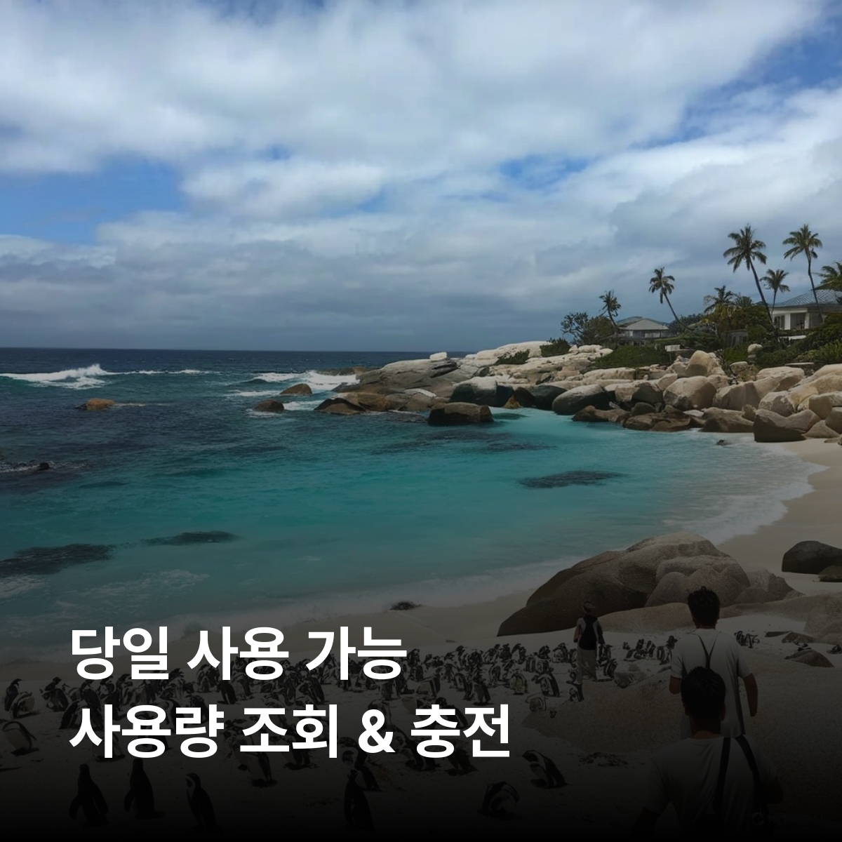 남아프리카공화국 이심 eSIM Vodacom 요하네스버그 케이프타운 더반 프리토리아 포트 엘리자베스 크루거 아도 코끼리 빌헬름 이심통 - 상세 이미지 4