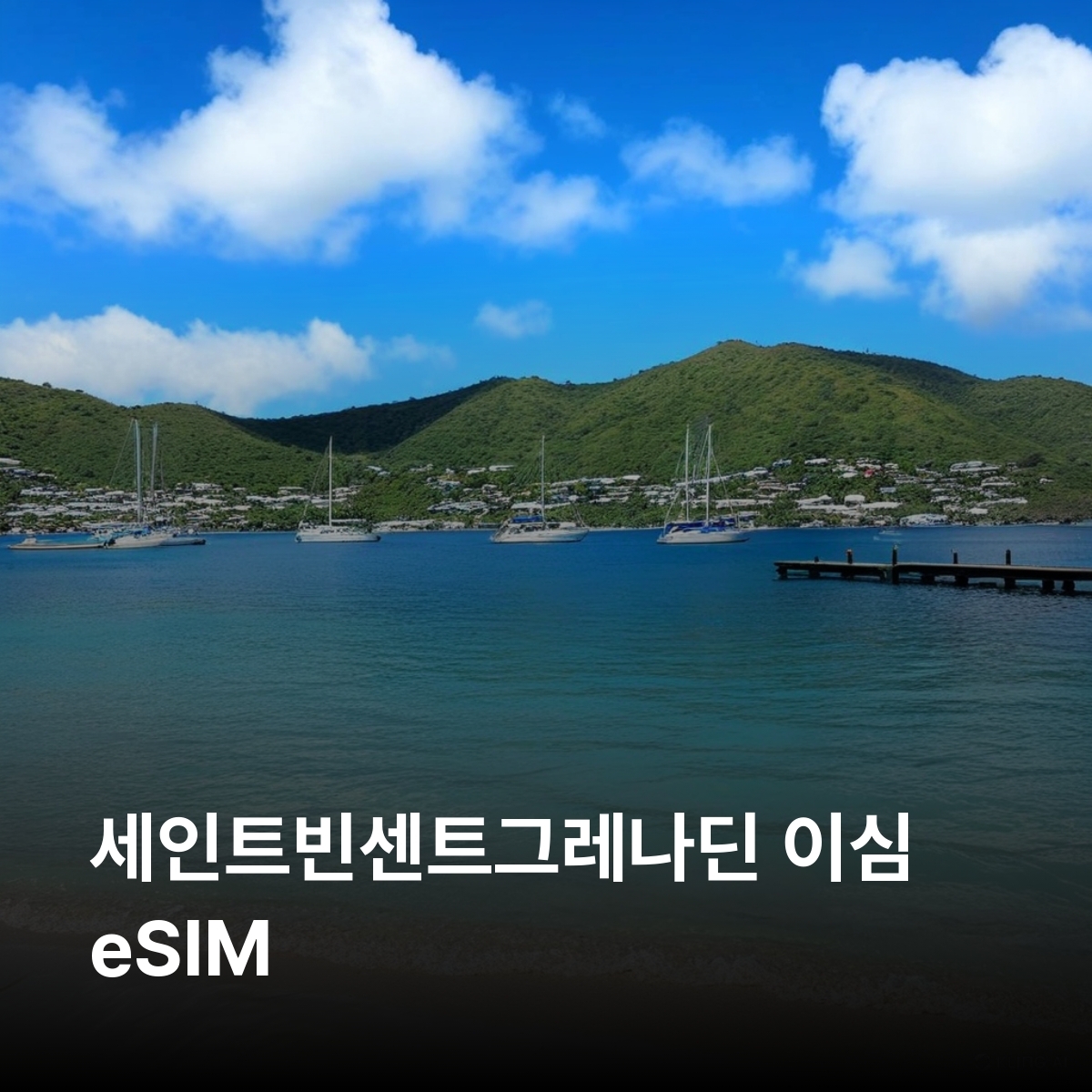 세인트빈센트그레나딘 이심 eSIM Digicel 킹스타운 비퀘 캐노안 유니온 아일랜드 무스티크 그레나딘 이심통 - 상품 이미지