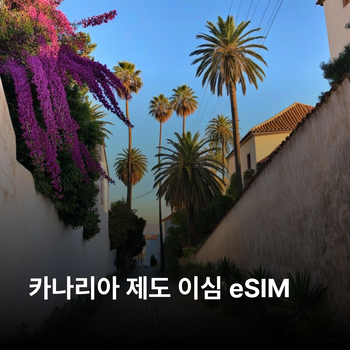 카나리아 제도 이심 eSIM Movistar LTE 스페인령 테네리페 그란카나리아 란사로테 푸에르테벤투라 라팔마 엘이에로 테네리페산 로스로케스 마스팔로마스 사막 가라호나이 이심통 - 메인 이미지