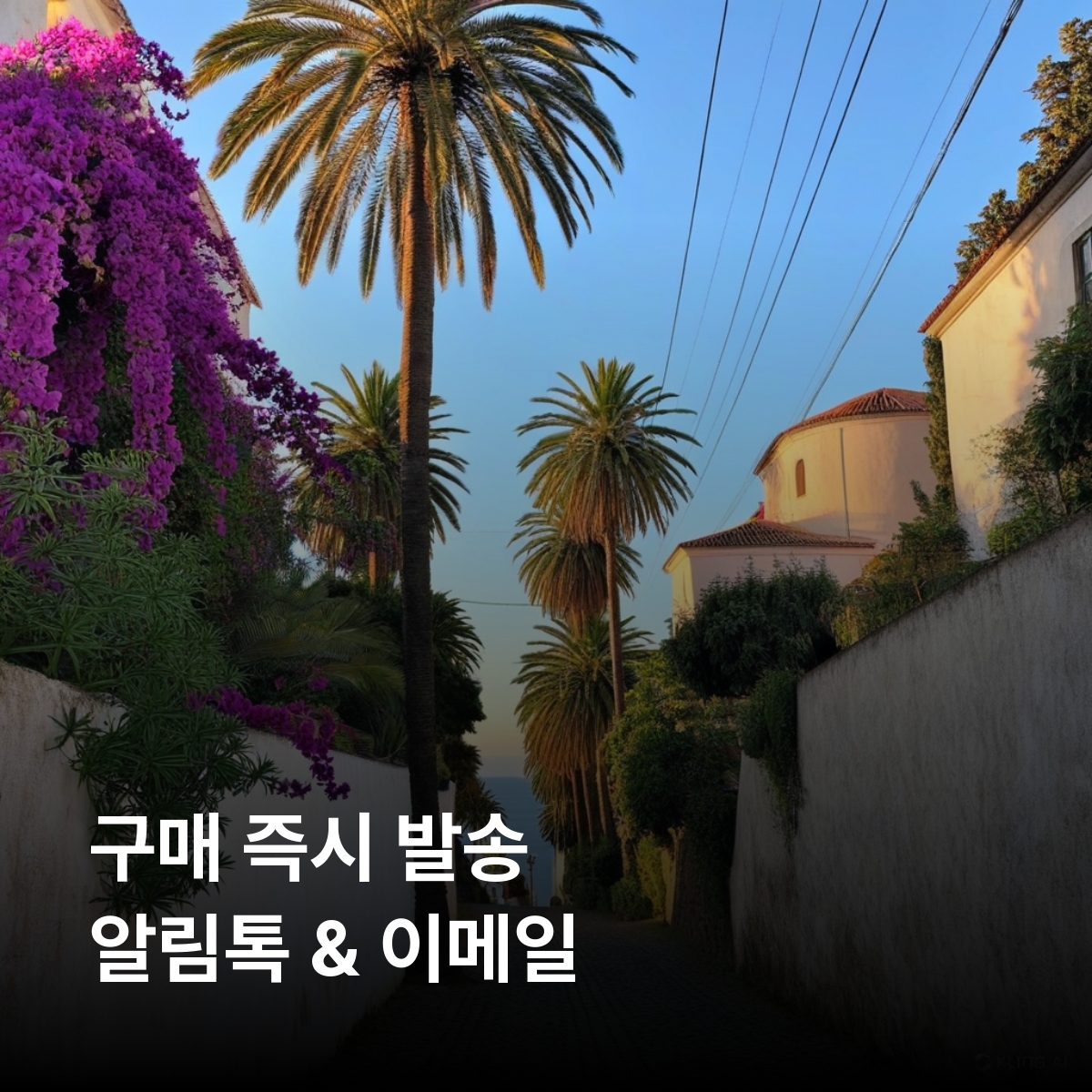 카나리아 제도 이심 eSIM Movistar LTE 스페인령 테네리페 그란카나리아 란사로테 푸에르테벤투라 라팔마 엘이에로 테네리페산 로스로케스 마스팔로마스 사막 가라호나이 이심통 - 상세 이미지 3