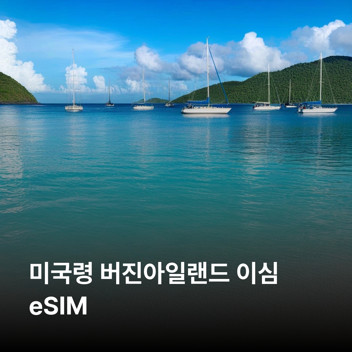미국령 버진아일랜드 이심 eSIM T-Mobile 5G 세인트 토마스 세인트 존 세인트 크로이 이심통 - 상품 이미지