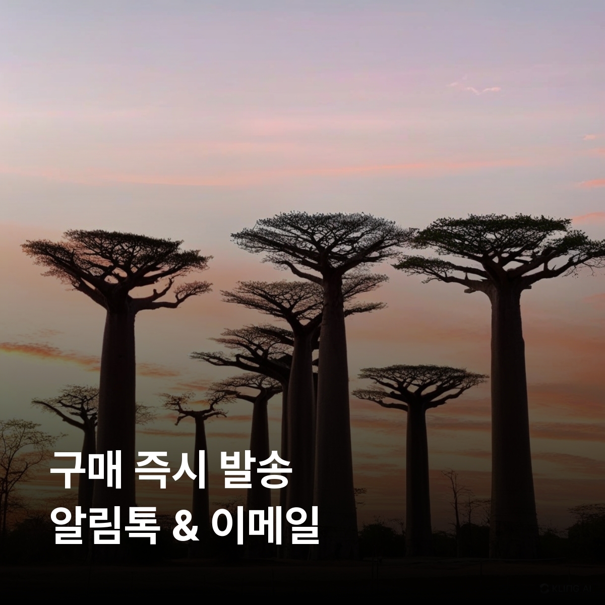 아프리카 6개국 이심 eSIM 데이터 데일리 무제한 알제리 튀니지 이집트 남아프리카공화국 남아공 가나 레위니옹 이심통 - 상세 이미지 3