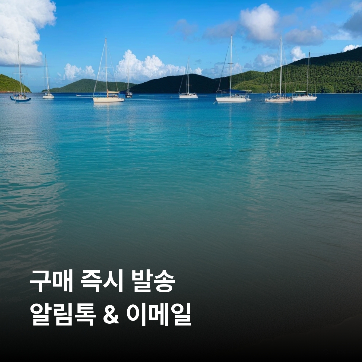 미국령 버진아일랜드 이심 eSIM T-Mobile 5G 세인트 토마스 세인트 존 세인트 크로이 이심통 - 상세 이미지 3