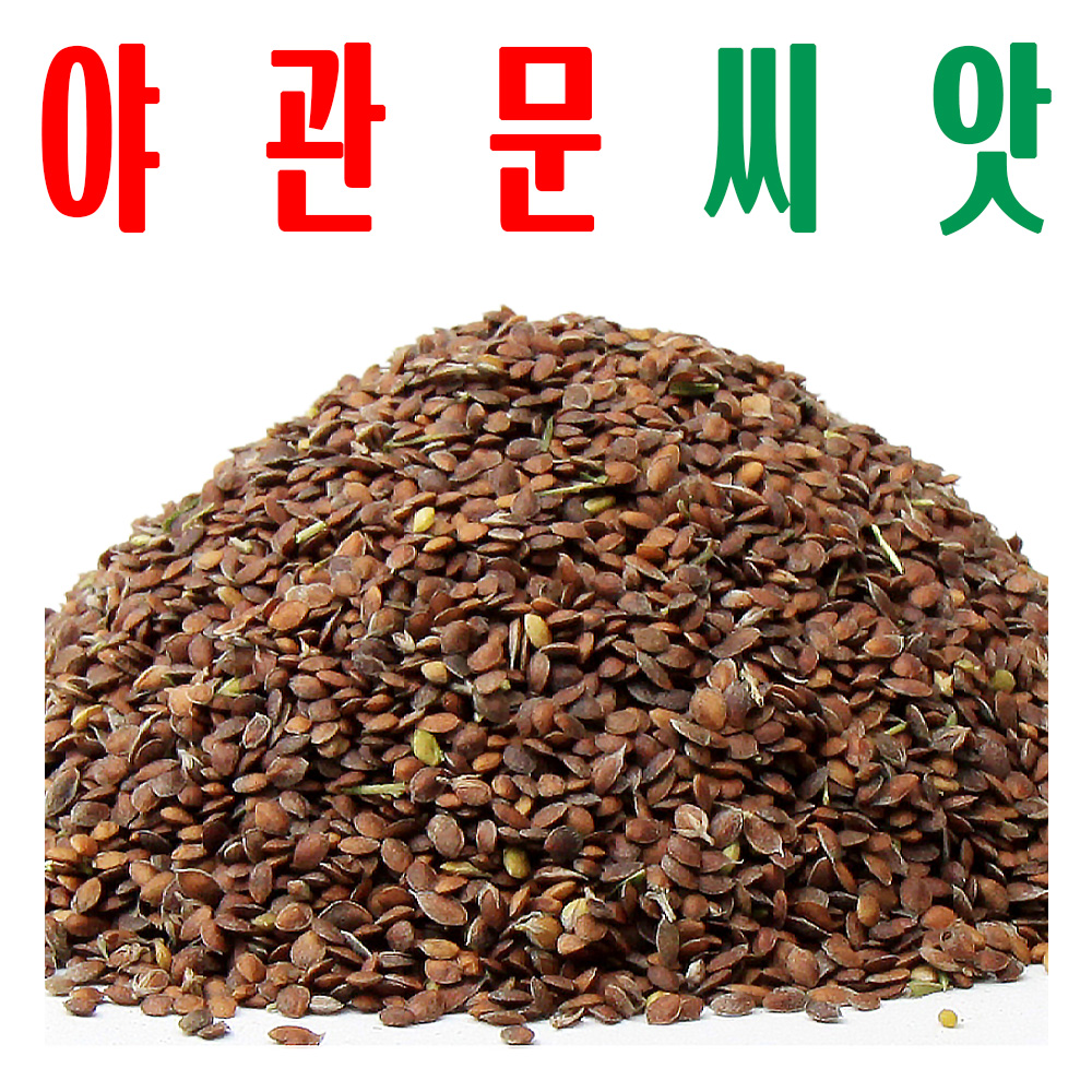 야관문씨앗/ 야관문종자/ 비수리씨/ 지하 170m 청정수 재배/ 미산약초농장 / 20g - 상품 이미지