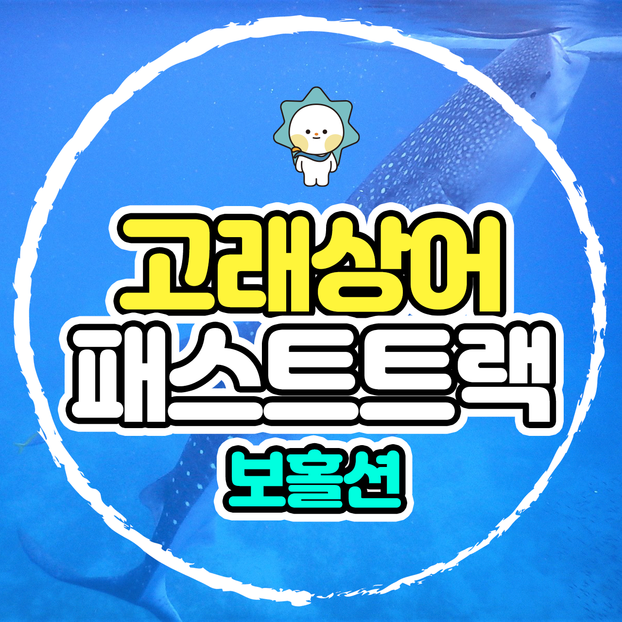 보홀 고래상어 투어 자유 여행 보홀션 (패스트트랙, 수중촬영포함) - 상품 이미지