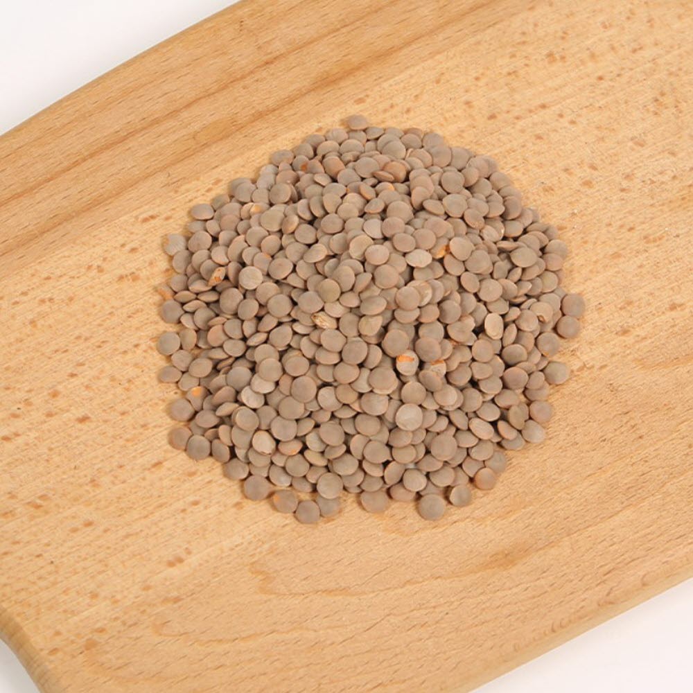 렌틸콩 브라운 2kg 랜틸콩 렌즈콩 렌탈콩 갈색 잡곡밥 효능 - 상세 이미지 3