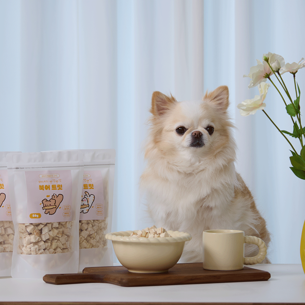 페네핏 고양이간식 동결건조 트릿 훈련 냥이 간식 북어, 50g, 1개 이미지 3