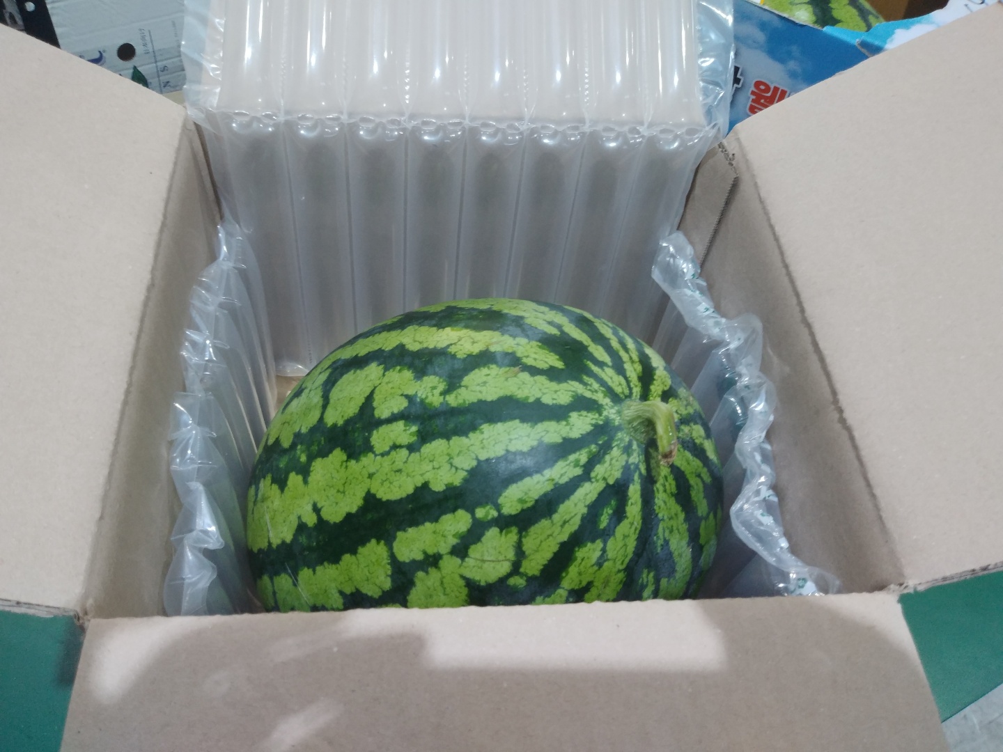 신선마켓 노지 수박 6kg, 1개 이미지 7
