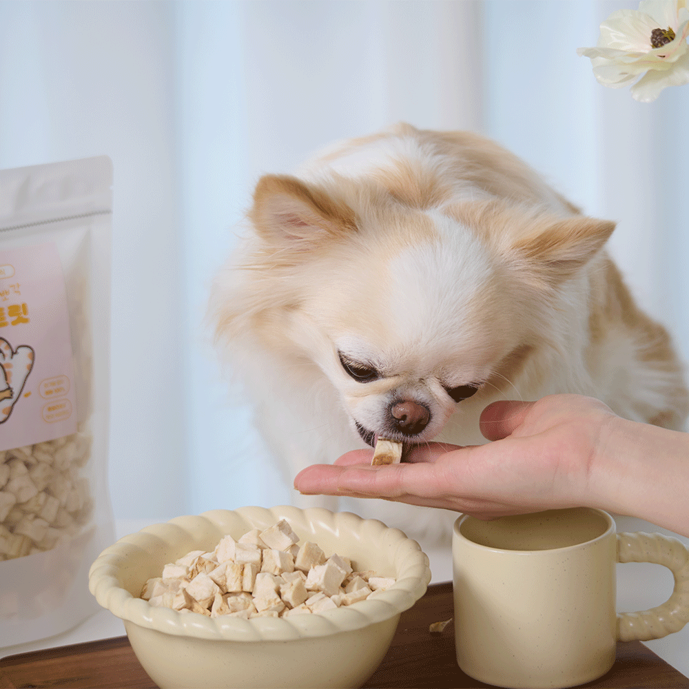 페네핏 강아지간식 동결건조 트릿 훈련 애견 간식 북어, 50g, 1개 이미지 2