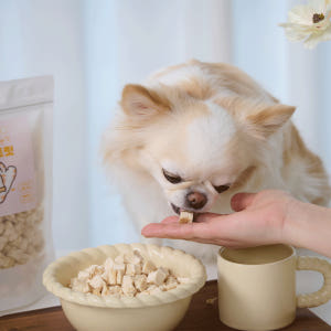 페네핏 강아지간식 동결건조 트릿 훈련 애견 간식 북어, 50g, 1개 솔직 후기 | 실제 사용자 리뷰 총정리 - 상품 이미지 2