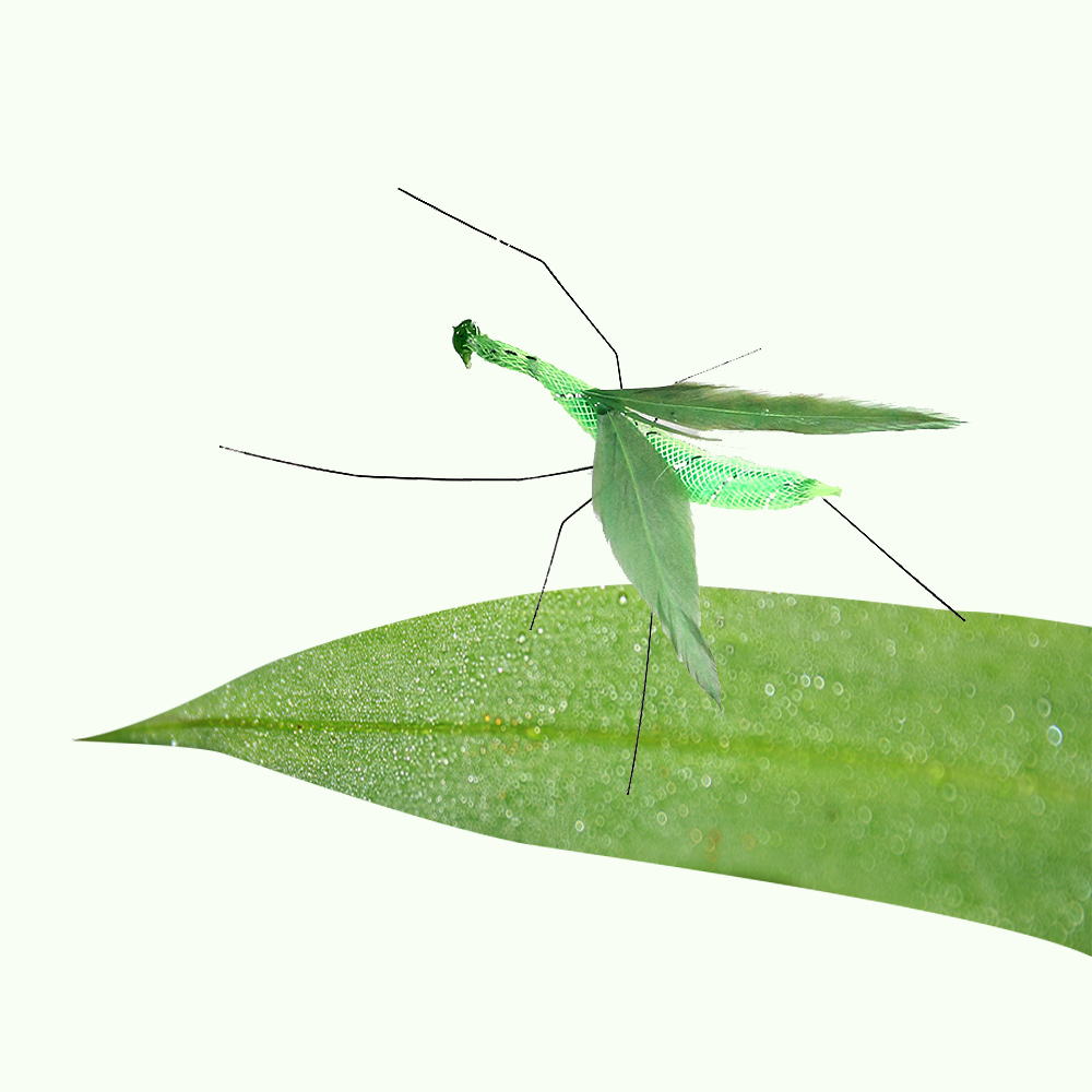 크레용펫 고양이 낚시대 리필 벌레 장난감 리얼 사마귀 - 상품 이미지