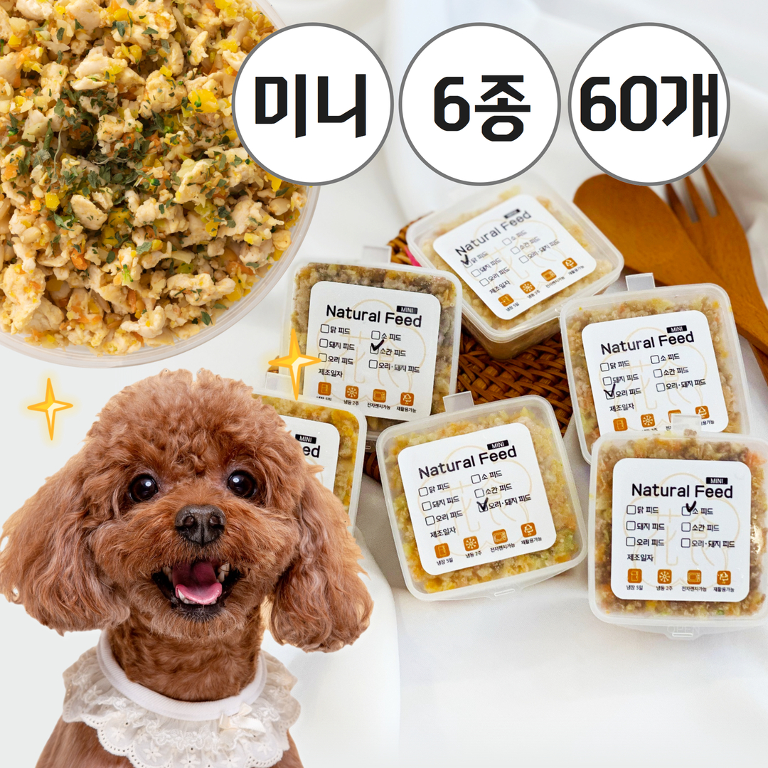 강아지화식 내추럴피드 미니30g 6종 60개 세트 하루2개 한달분 - 메인 이미지