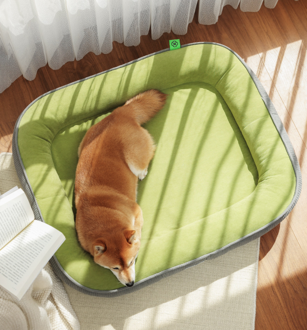 강아지 방석 애견 고양이 마약 방석 꿀잠 반려견 대형견 펫 쿠션 L 펫앤마마