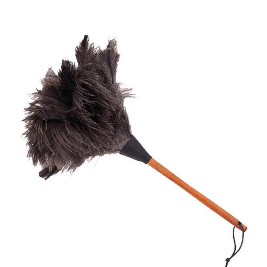 레데커 타조 먼지털이개 50cm 1개 블랙 R468800 - 상품 이미지