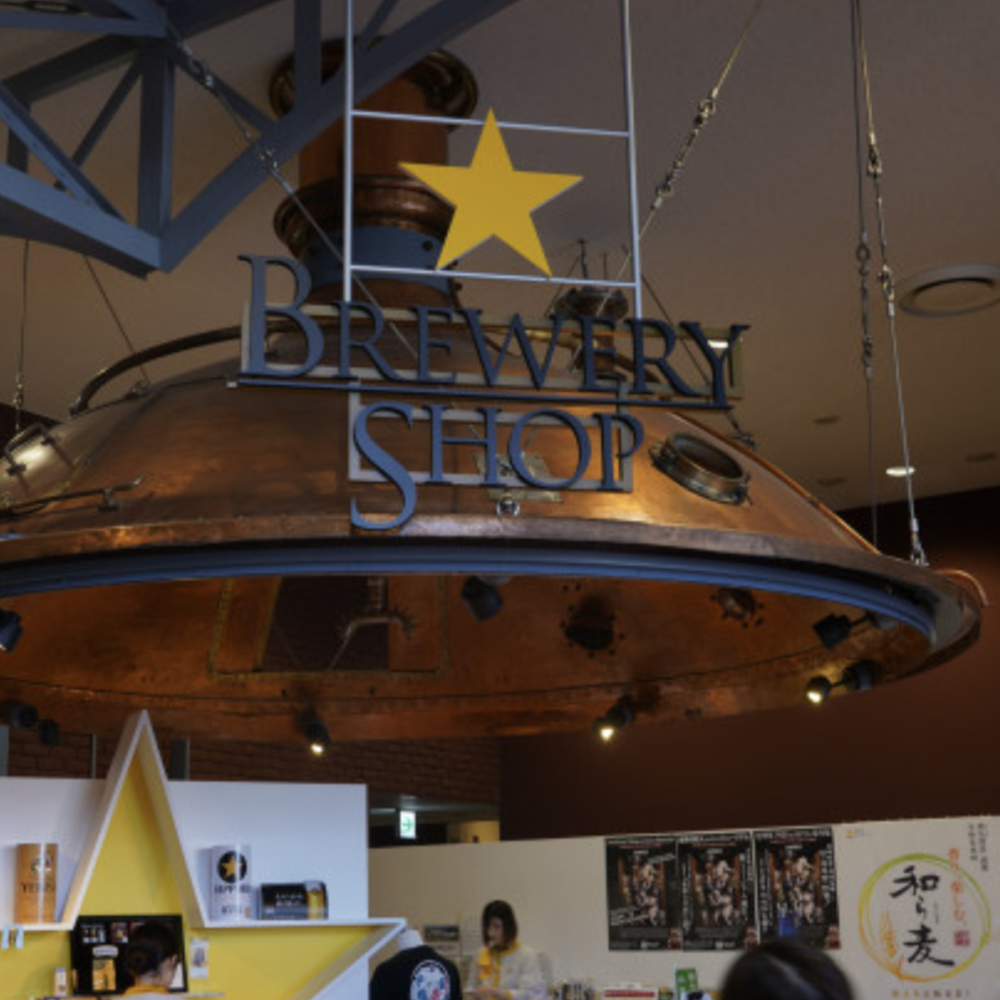 [유후인 출발 12:40] 벳부N다자이후 관광후 하카타역 해산 편도 후쿠오카 버스 투어