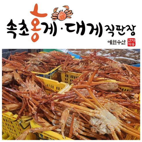 [속초산지직송] 예원수산 생물 자숙 제철홍게 3kg 박달형 라면용 홍게다리살 이미지 2
