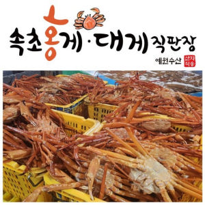 [속초산지직송] 예원수산 생물 자숙 제철홍게 3kg 박달형 라면용 홍게다... 맛있게 먹은 솔직 후기 - 상품 이미지 2