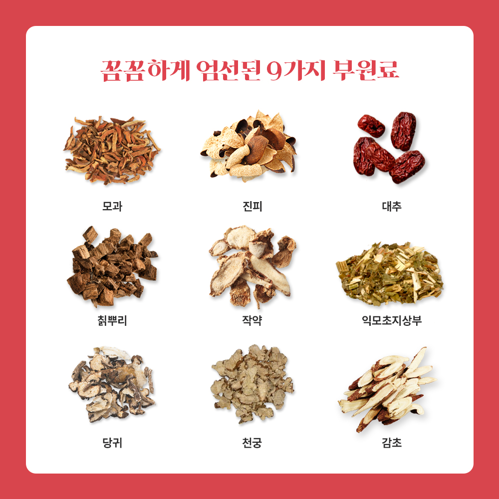 6년근 고려 홍삼정 스탠다드 홍삼스틱 13g x 100포 실속형 고철남헬스케어 이미지 4