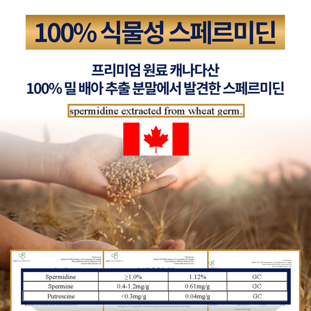 이너띵스 스페르미딘 파이토 피세틴 맥스 효모 60정 - 상세 이미지 5