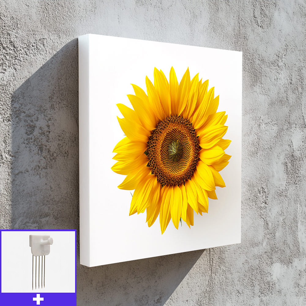 금전 해바라기 45x45cm 캔버스액자 돈들어오는 그림