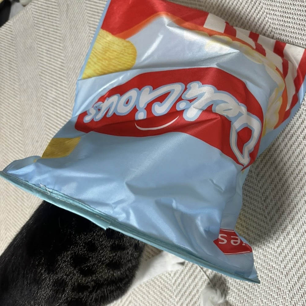 랩캣 고양이 바스락 과자 봉투 숨숨집 터널 이미지 8