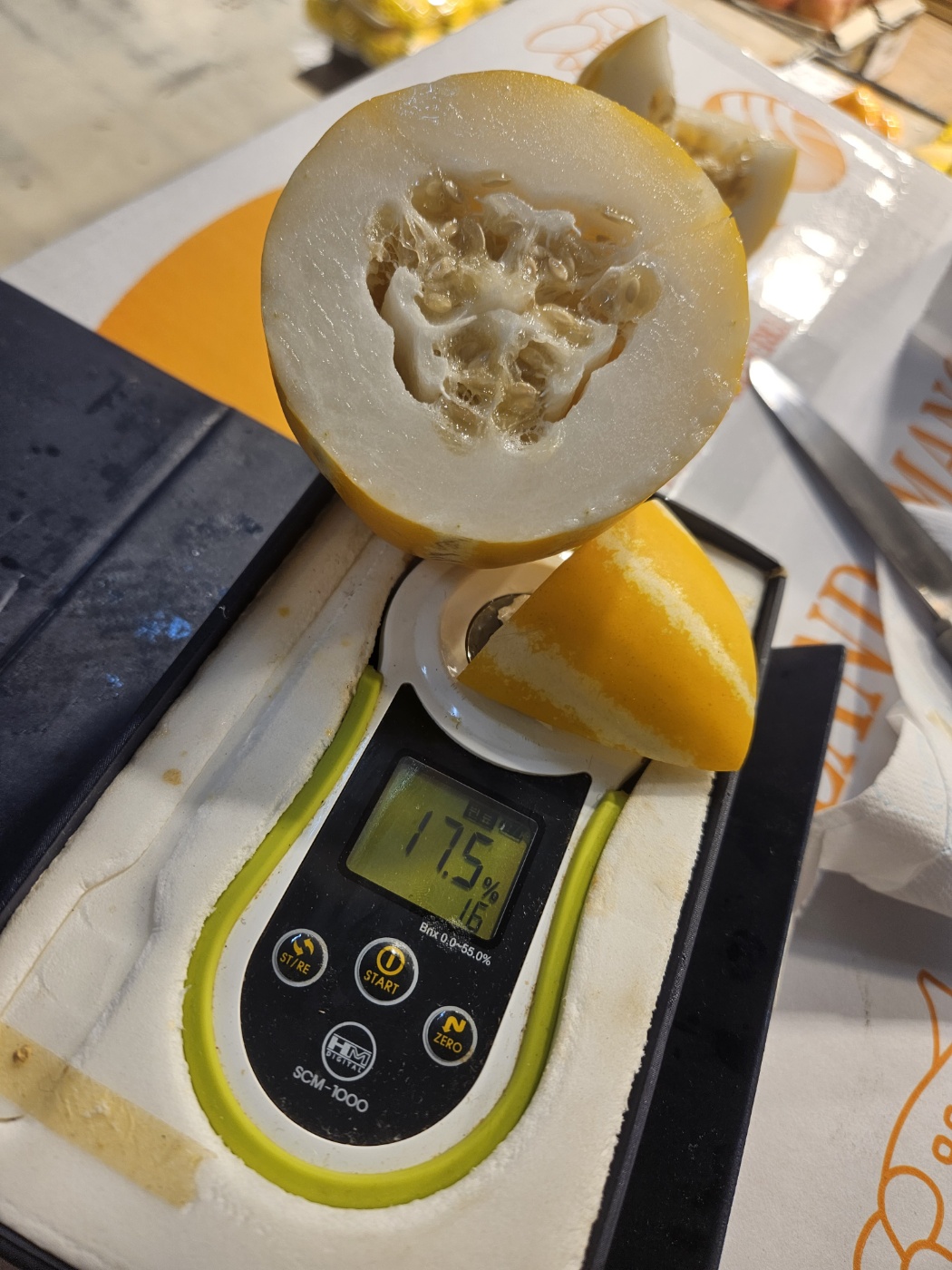 신선마켓 꿀 참외 꼬마, 5kg, 1개 - 상세 이미지 4