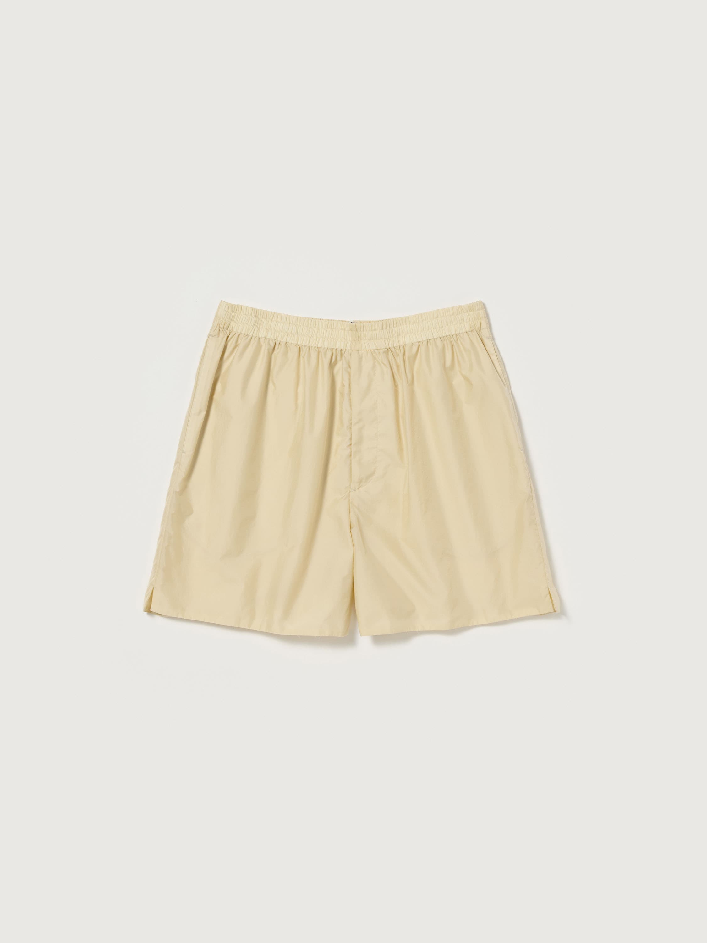 라이트옐로우 이미지