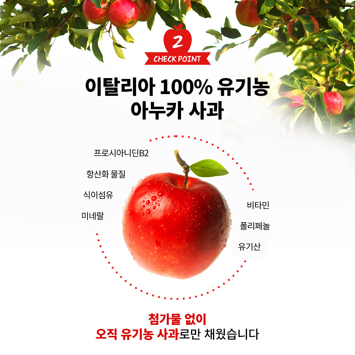 아임애플 유기농 애플 사이다 비니거 100% 애사비 사과 초모 발효 식초 15포, 1개 - 상세 이미지 5