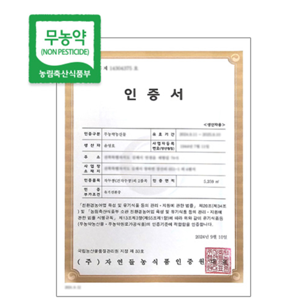 무농약 국산 볶은 작두콩차 200g 말린 햇 작두콩 깍지 차 파는곳 효능 - 상세 이미지 2