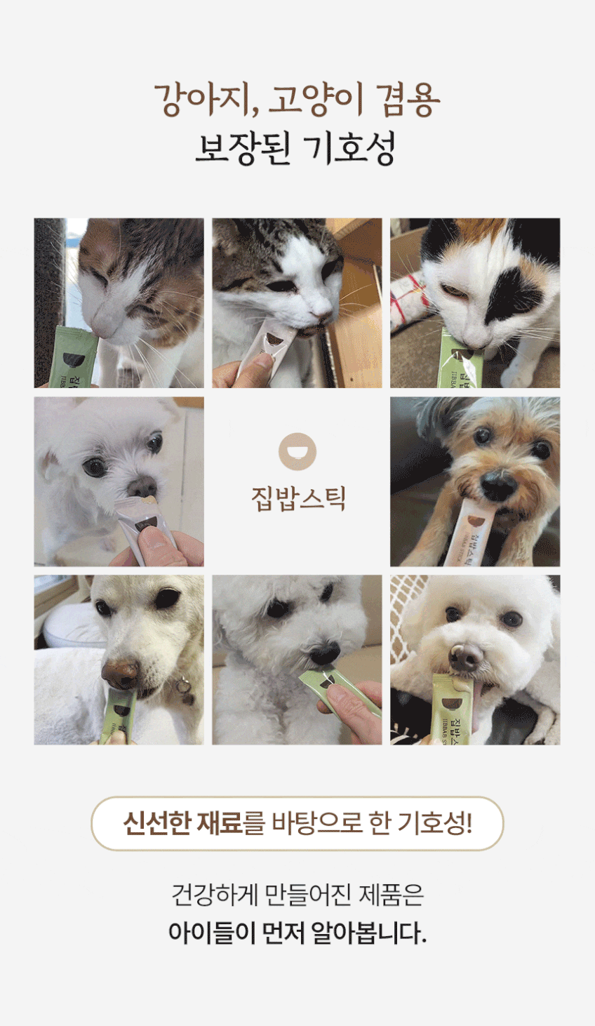 수의사가 만든 강아지 고양이 츄르영양제 집밥스틱M 집밥스틱S 대용량(6BOX) 판매처 상세 정보 이미지 4