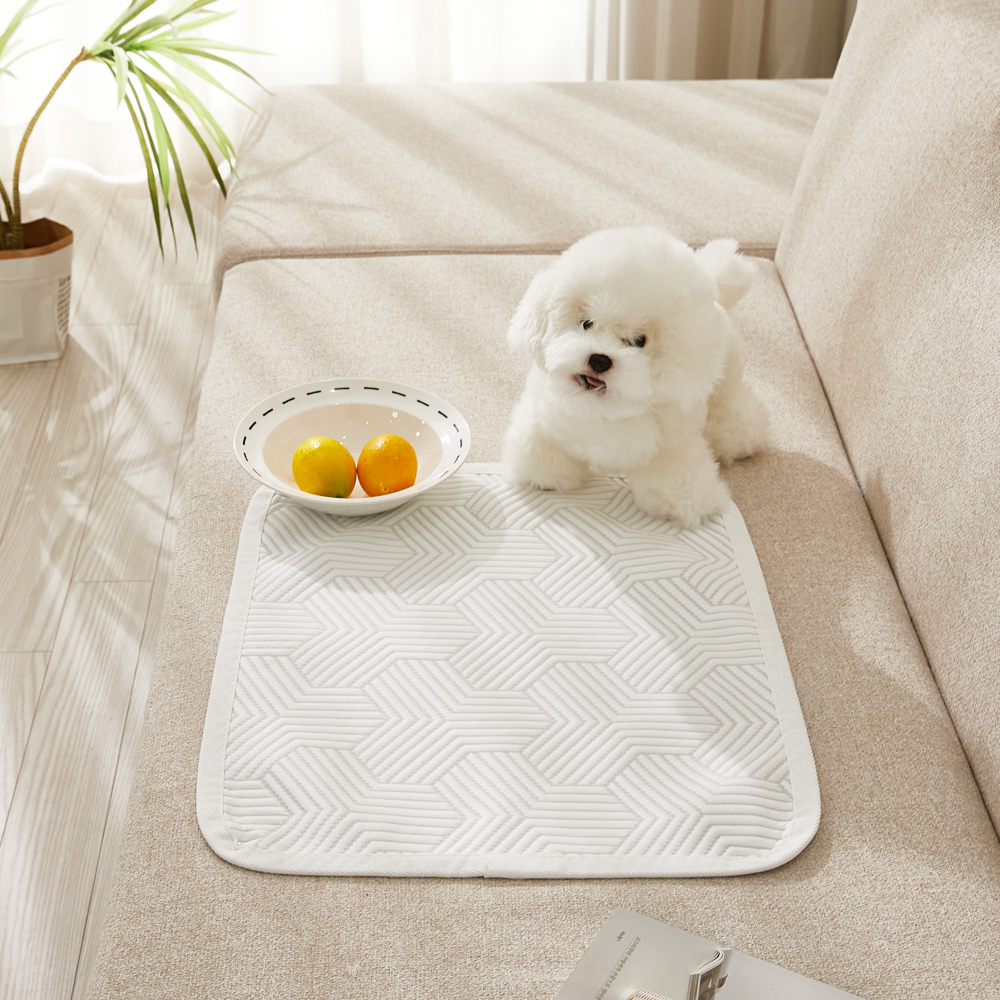 강아지 듀라론 애견 쿨매트 고양이쿨매트 아이스 쿨링패드 국산 중형 50X70 2P