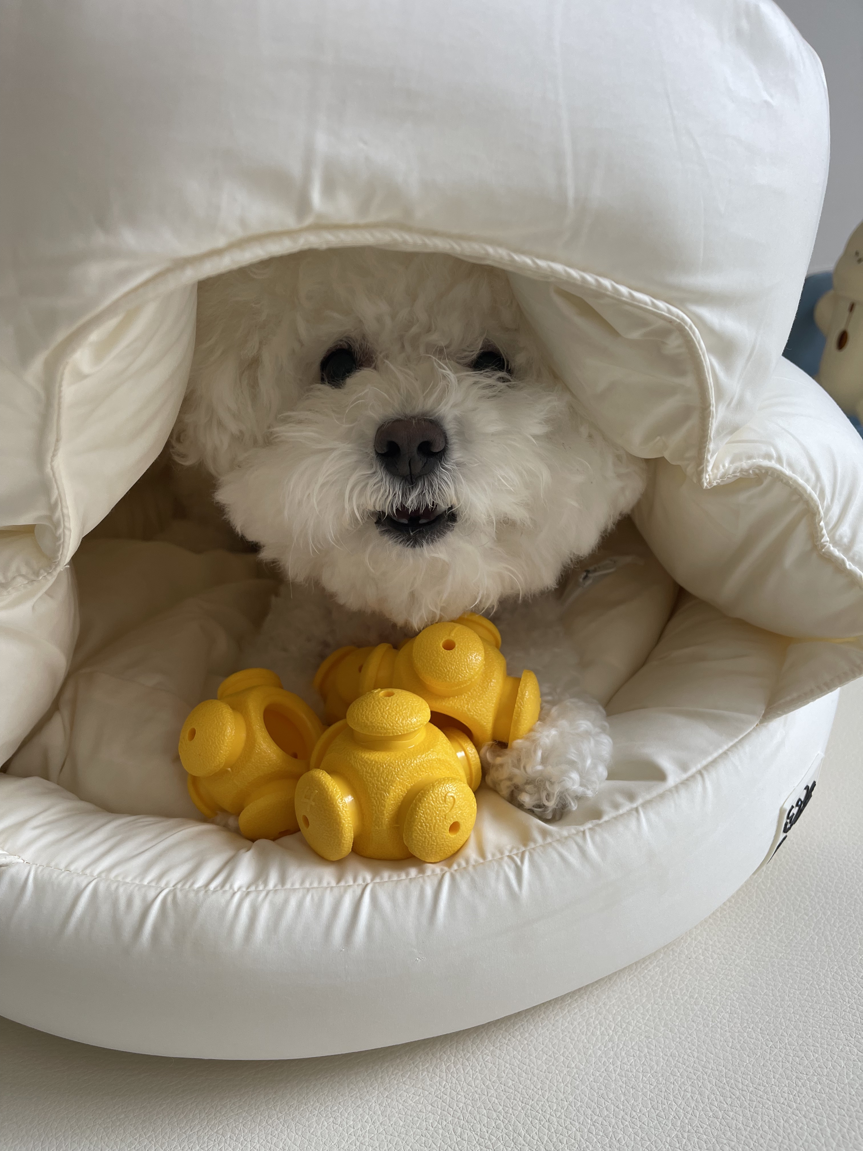 [옙퍼피] 강아지노즈워크 퍼즐 바이트볼 반려견 장난감 어려운 오래노는