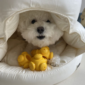 [옙퍼피] 강아지노즈워크 퍼즐 바이트볼 반려견 장난감 어려운 오래노는 솔직 후기 | 실제 사용자 리뷰 총정리 - 상품 이미지 4