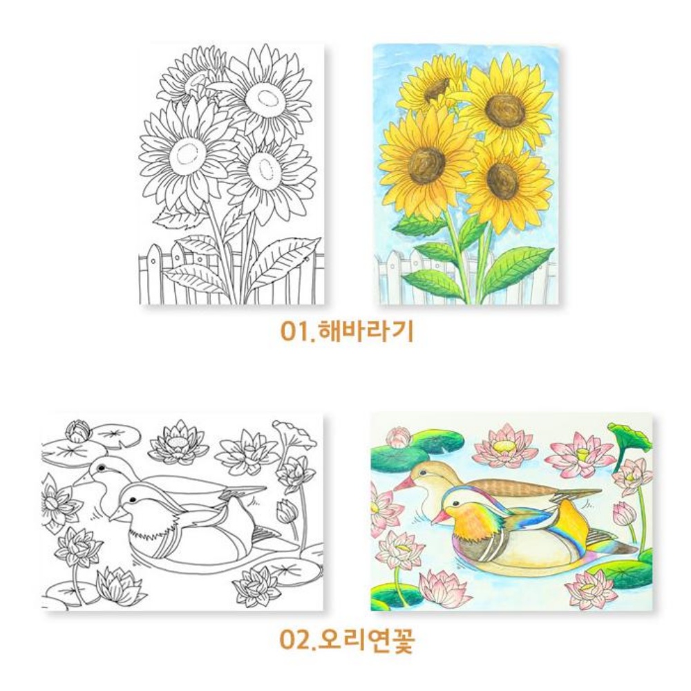 치매예방책 어르신 노인 색칠 공부 도안 치매예방학습지 시니어 컬러링북 교구 - 상세 이미지 5