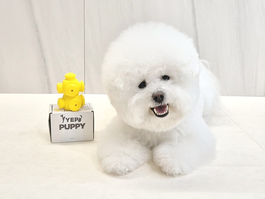 [옙퍼피] 강아지노즈워크 퍼즐 바이트볼 반려견 장난감 어려운 오래노는