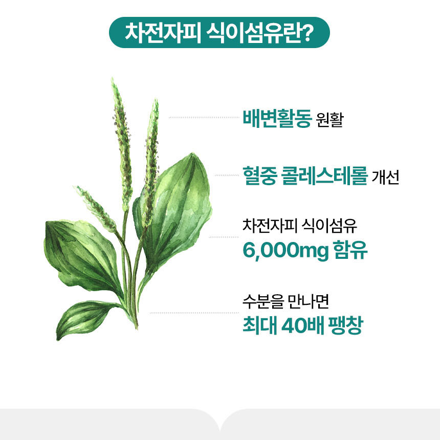 가르시니아 추출물 쾌변 차전자피 다이어트 3종 기능성 체지방감소 식이섬유 30포, 1개 - 상세 이미지 4